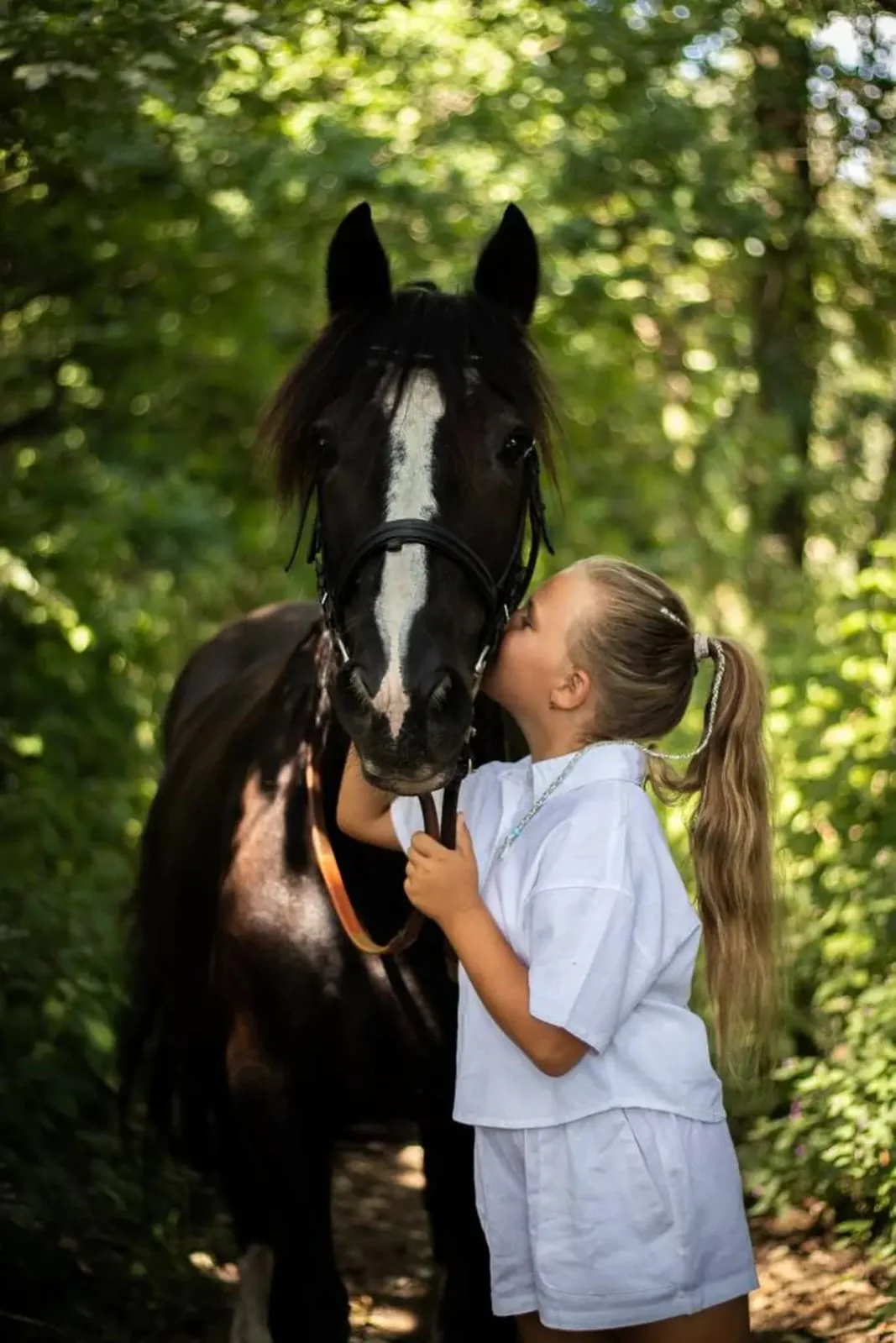 Grupa koni na wybiegu w ośrodku Ponny Hoff