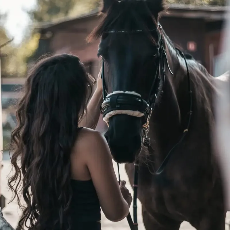 Koń w stajni ośrodka jeździeckiego Ponny Hoff
