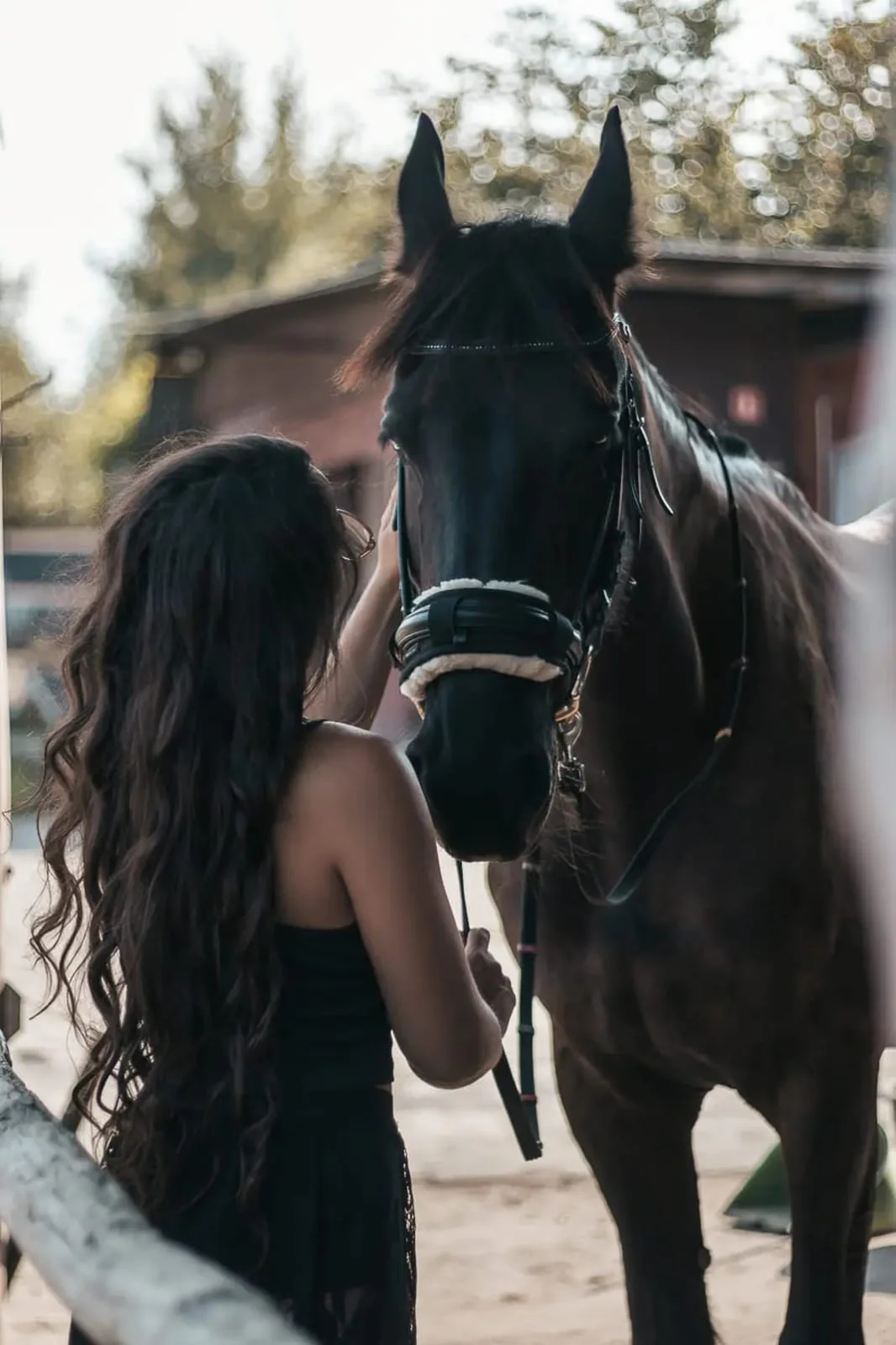 Koń w stajni ośrodka jeździeckiego Ponny Hoff