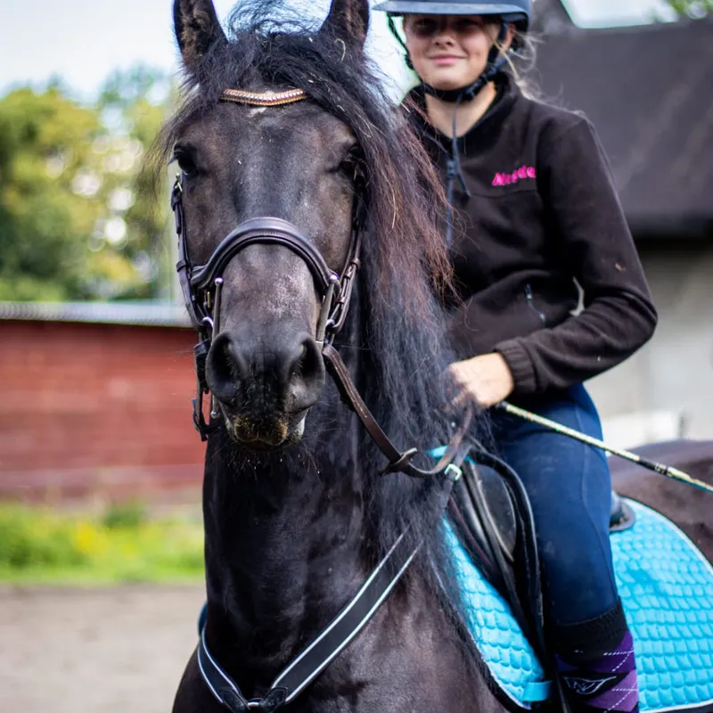 Koń w akcji w ośrodku jeździeckim