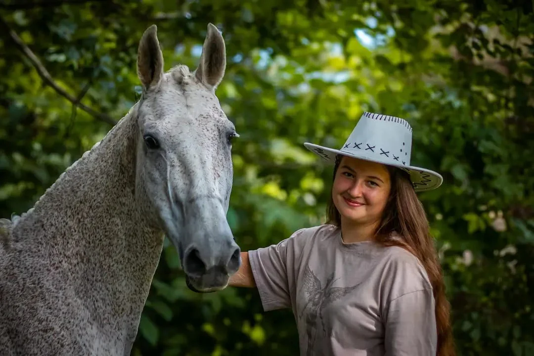 Koń podczas codziennej pielęgnacji